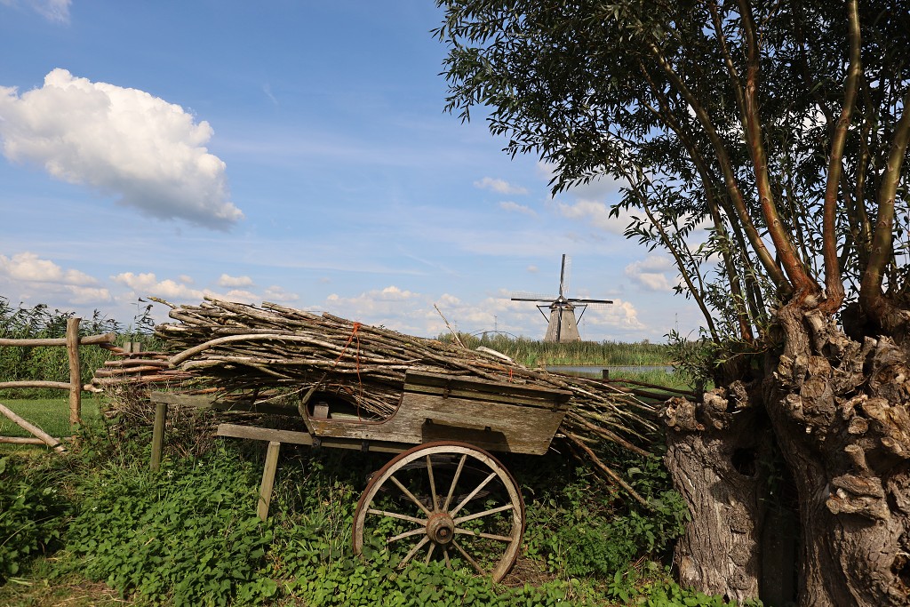 kinderdijk molen molens erfgoed hdr alblasserwaard werelderfgoed polder gemaal gemalen unesco lichtspektakel